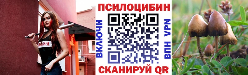 маркетплейс клад  OMG сайт  Володарск  Псилоцибиновые грибы GOLDEN TEACHER 